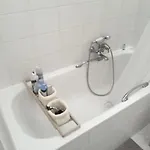 Eismauer 아파트 로데스하임암라인