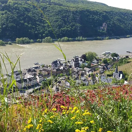 Eismauer Ruedesheim am Rhein