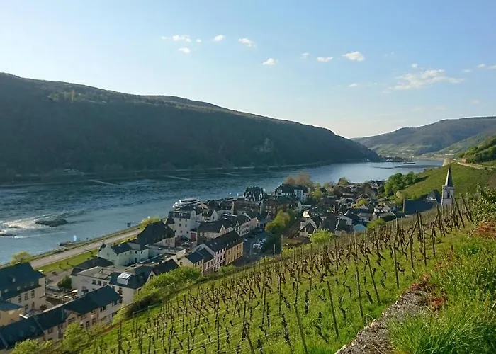 Eismauer Rüdesheim am Rhein